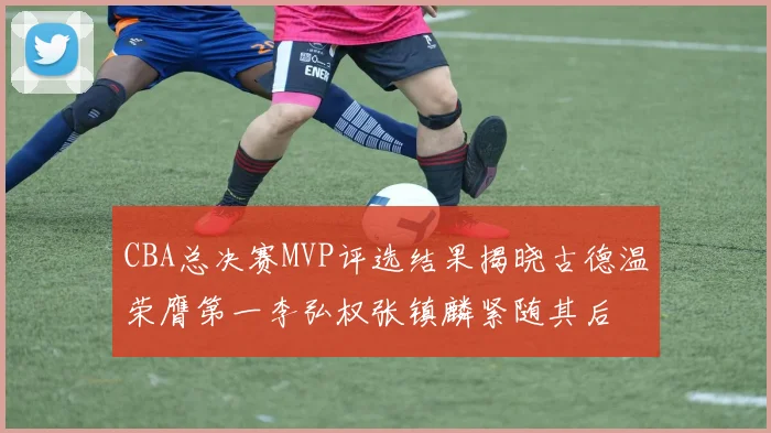 CBA总决赛MVP评选结果揭晓古德温荣膺第一李弘权张镇麟紧随其后